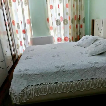 Relax Near The Trees *